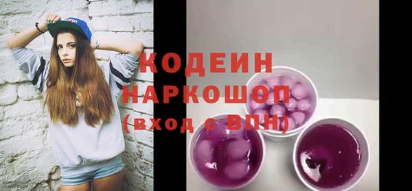 прущие грибы Няндома