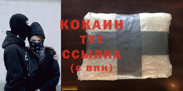 прущие грибы Няндома