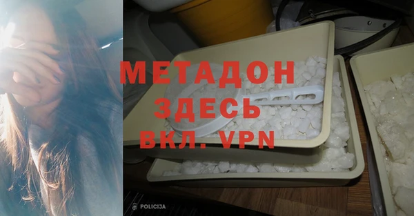 прущие грибы Няндома