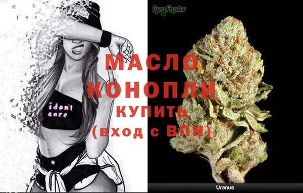 прущие грибы Няндома