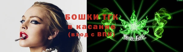 прущие грибы Няндома