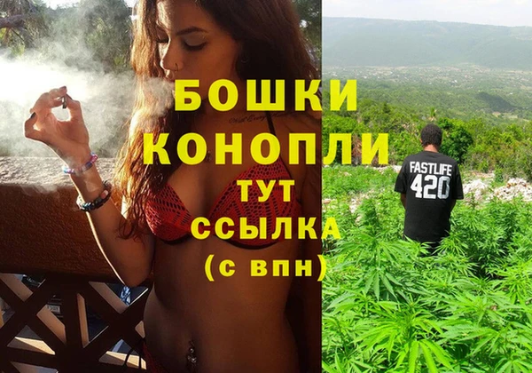 PSILOCYBIN Остров