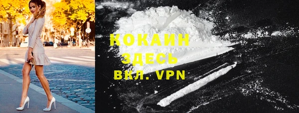 прущие грибы Няндома