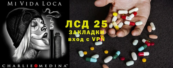 прущие грибы Няндома