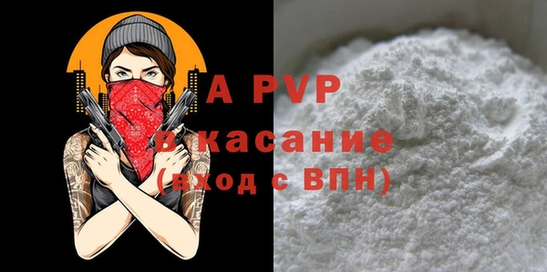 прущие грибы Няндома