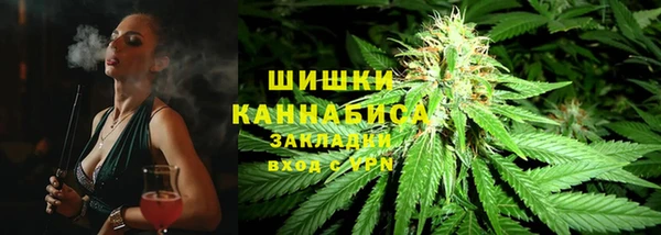 прущие грибы Няндома